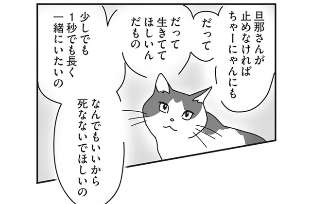 少しでも長く生きてほしい。正解の分からない猫のガン治療／世界一幸せな飼い主にしてくれた猫（10）