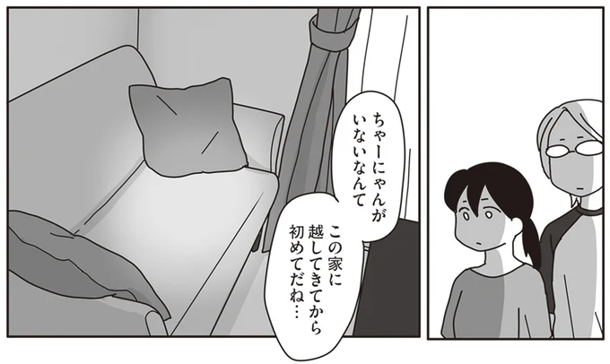 ちゃーにゃんがいないなんて