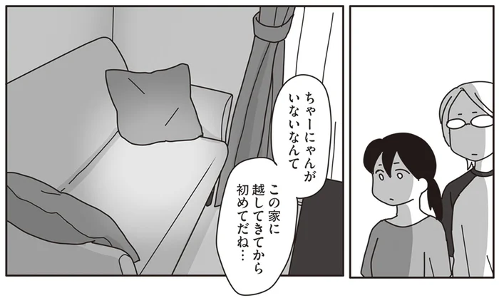 猫のいない家に抱く違和感。少しでも愛猫のそばにいたくて行動した日／世界一幸せな飼い主にしてくれた猫（11）