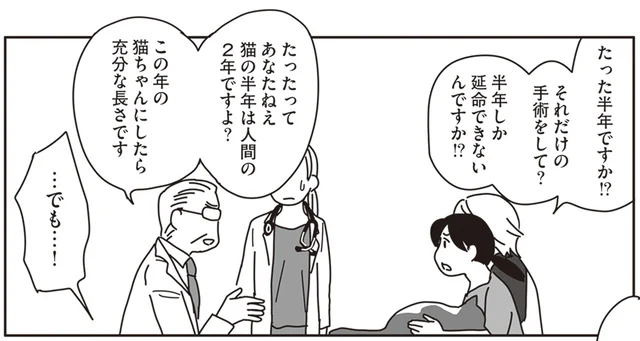 医師がすすめるガン切除手術を受け入れることができなくて／世界一幸せな飼い主にしてくれた猫（12）