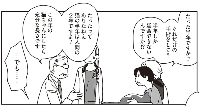 たった半年ですか!?