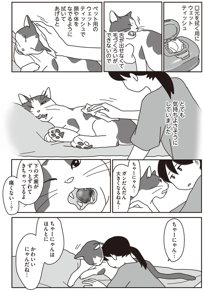 ちゃーにゃんはほんとに かわいいにゃんだね…