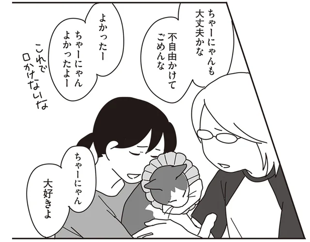 朝5時に置きて始まる愛猫の看病。飼い主がいない間も快適にしてあげたい／世界一幸せな飼い主にしてくれた猫（16）