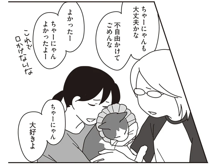 朝5時に置きて始まる愛猫の看病。飼い主がいない間も快適にしてあげたい／世界一幸せな飼い主にしてくれた猫（16）