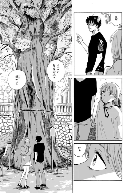 すごいなんの木？
