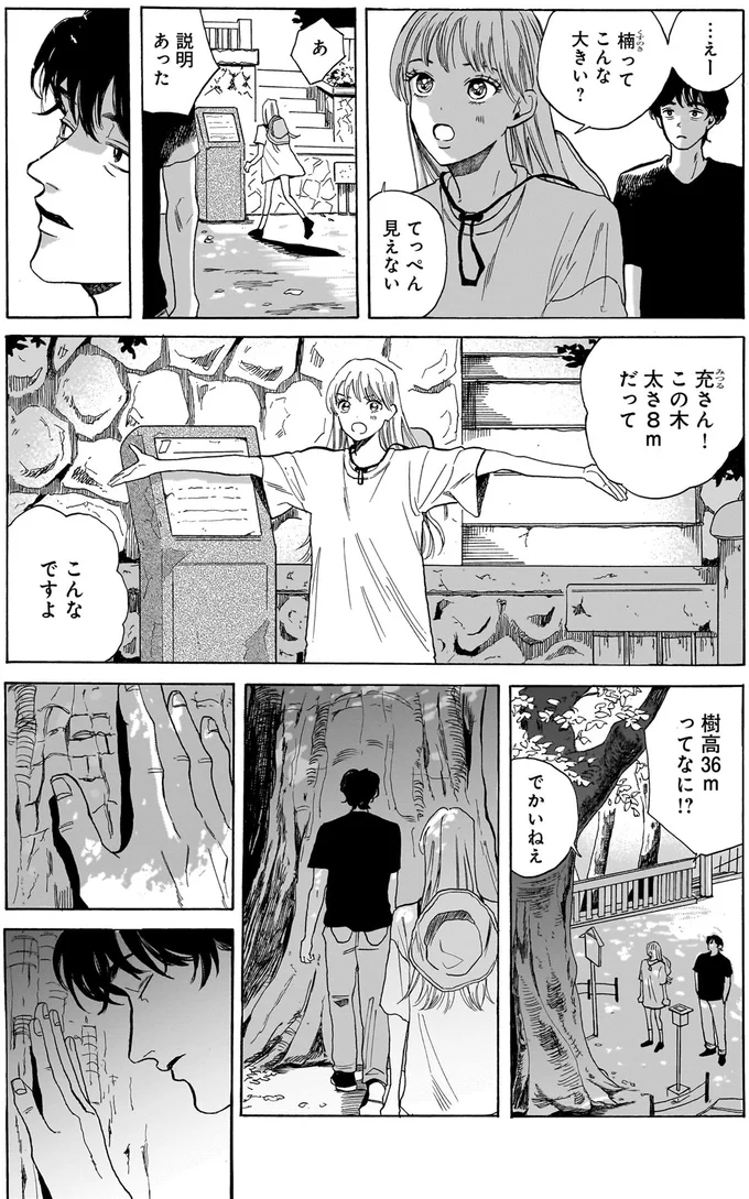 てっぺん見えない