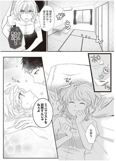 ミニマリストを誤解するんじゃねぇよ