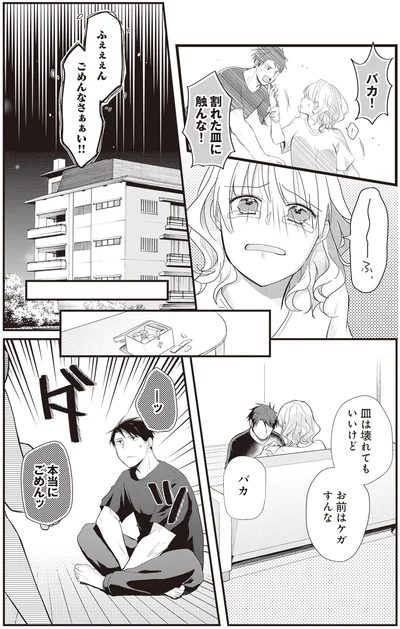 『ミニマリスト彼氏とオタク彼女の同棲戦争』より