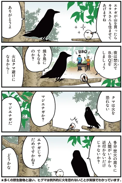 夜は焚火でBBQをしましょう