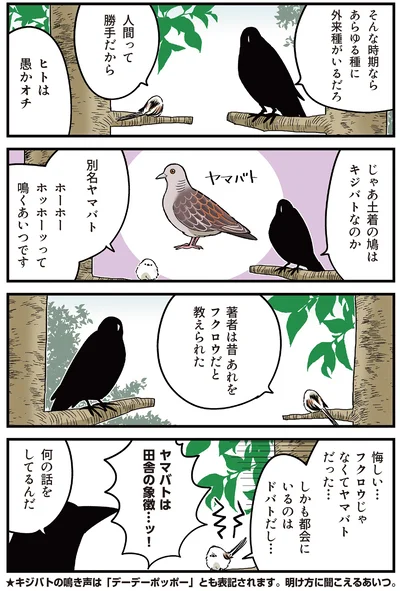 『永久機関シマエナガ－シマエナガとカラスさん－よんはいめっ！』より
