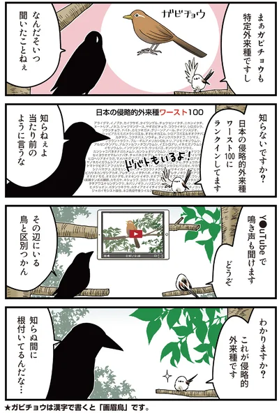 『永久機関シマエナガ－シマエナガとカラスさん－よんはいめっ！』より