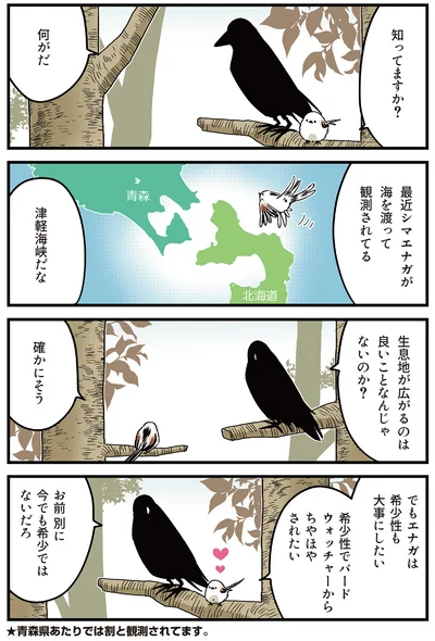 『永久機関シマエナガ－シマエナガとカラスさん－よんはいめっ！』より