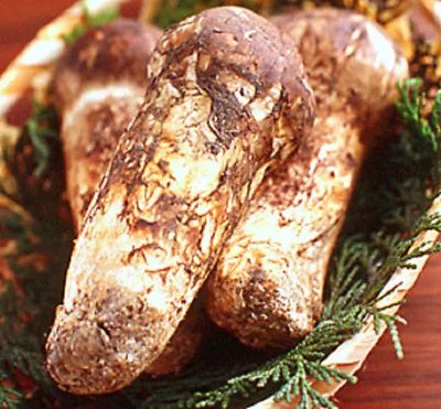 秋限定だからちょっと奮発！「まつたけご飯」で旬の香りを食卓へ