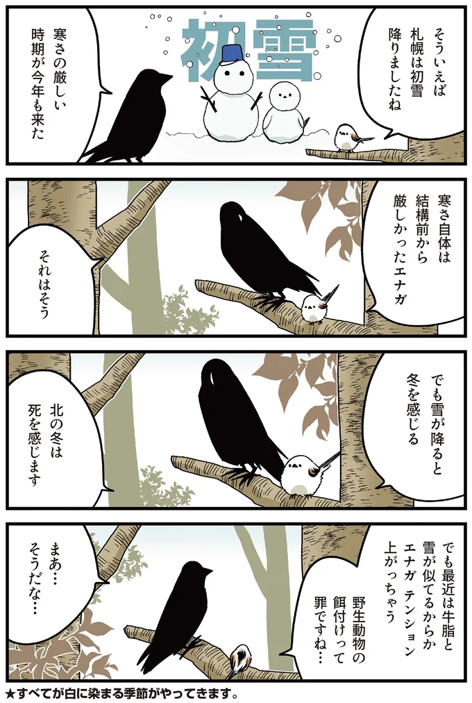 野生動物の餌付けって罪ですね…