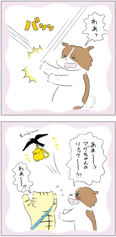 わあっ