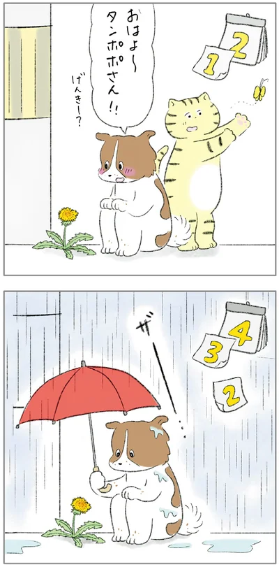 『ターとアグのしあわせ日和 元ノラ猫と元保護犬、ふたりは親友』より