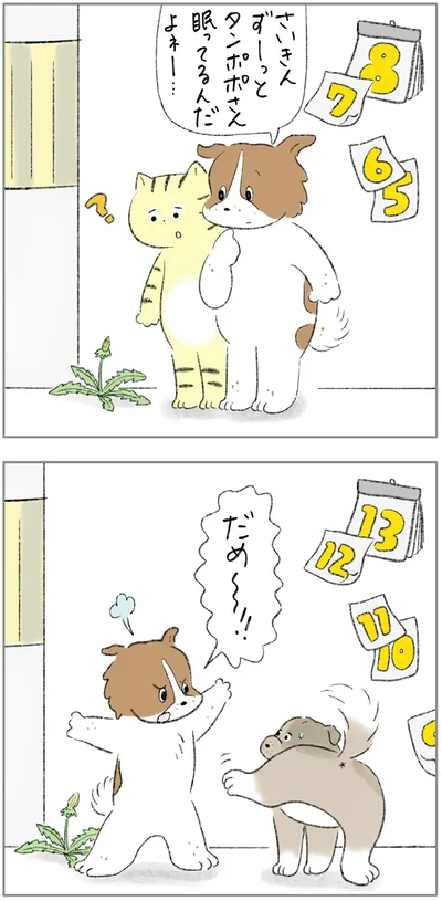 『ターとアグのしあわせ日和 元ノラ猫と元保護犬、ふたりは親友』より