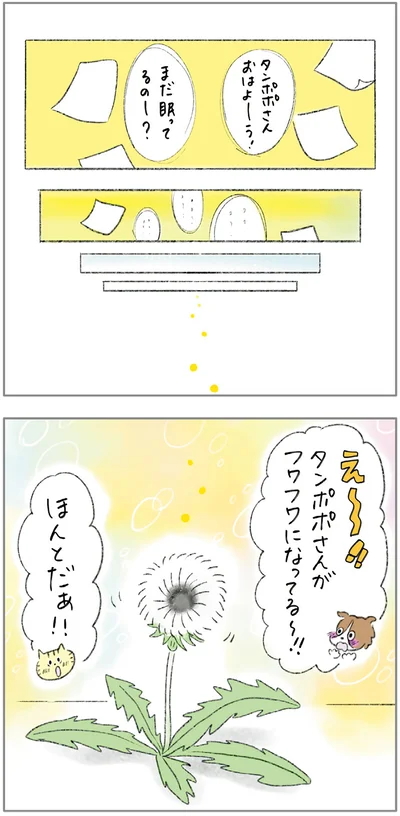 『ターとアグのしあわせ日和 元ノラ猫と元保護犬、ふたりは親友』より