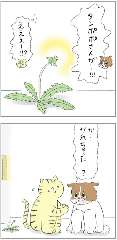 『ターとアグのしあわせ日和 元ノラ猫と元保護犬、ふたりは親友』より