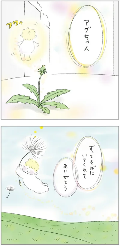 『ターとアグのしあわせ日和 元ノラ猫と元保護犬、ふたりは親友』より