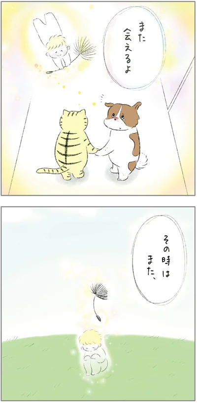 『ターとアグのしあわせ日和 元ノラ猫と元保護犬、ふたりは親友』より