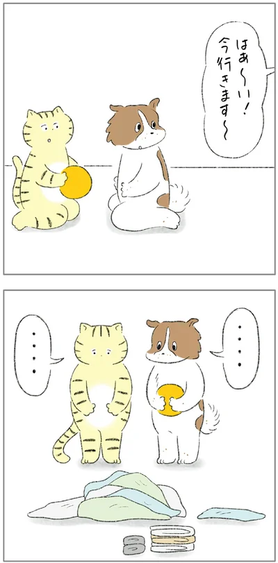 『ターとアグのしあわせ日和 元ノラ猫と元保護犬、ふたりは親友』より