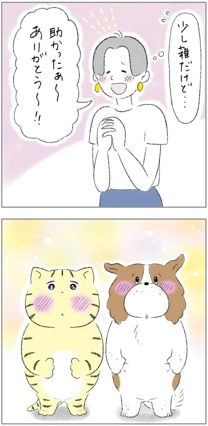 『ターとアグのしあわせ日和 元ノラ猫と元保護犬、ふたりは親友』より