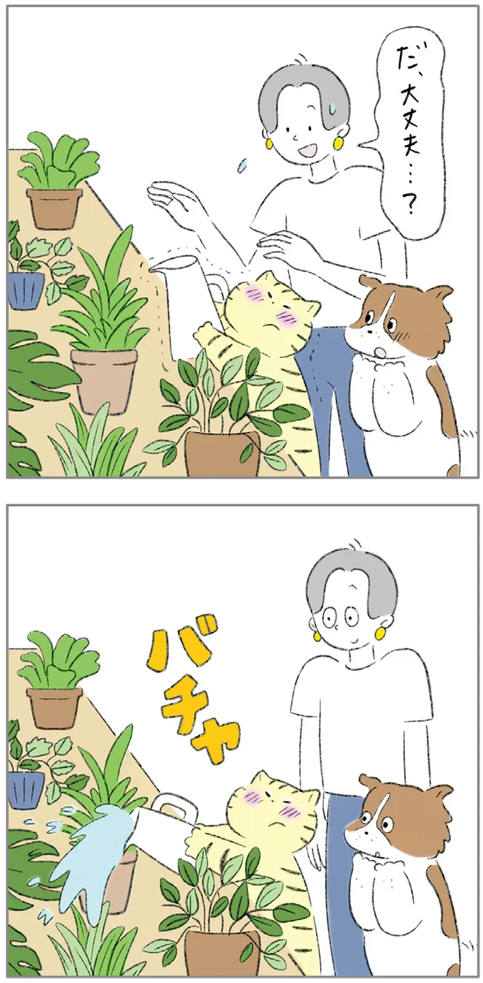 『ターとアグのしあわせ日和 元ノラ猫と元保護犬、ふたりは親友』より