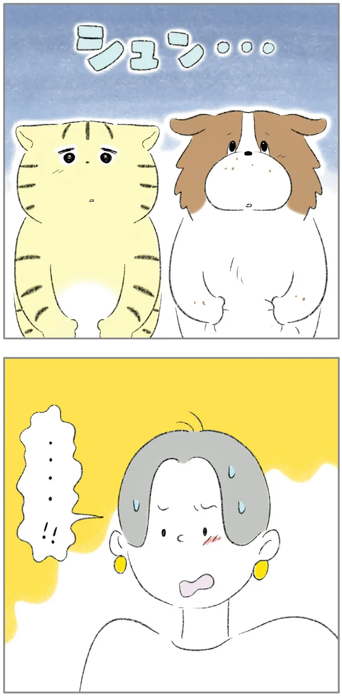 『ターとアグのしあわせ日和 元ノラ猫と元保護犬、ふたりは親友』より