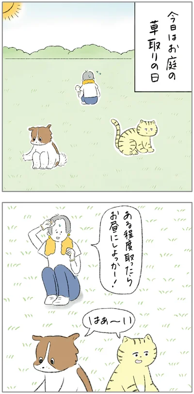 『ターとアグのしあわせ日和 元ノラ猫と元保護犬、ふたりは親友』より