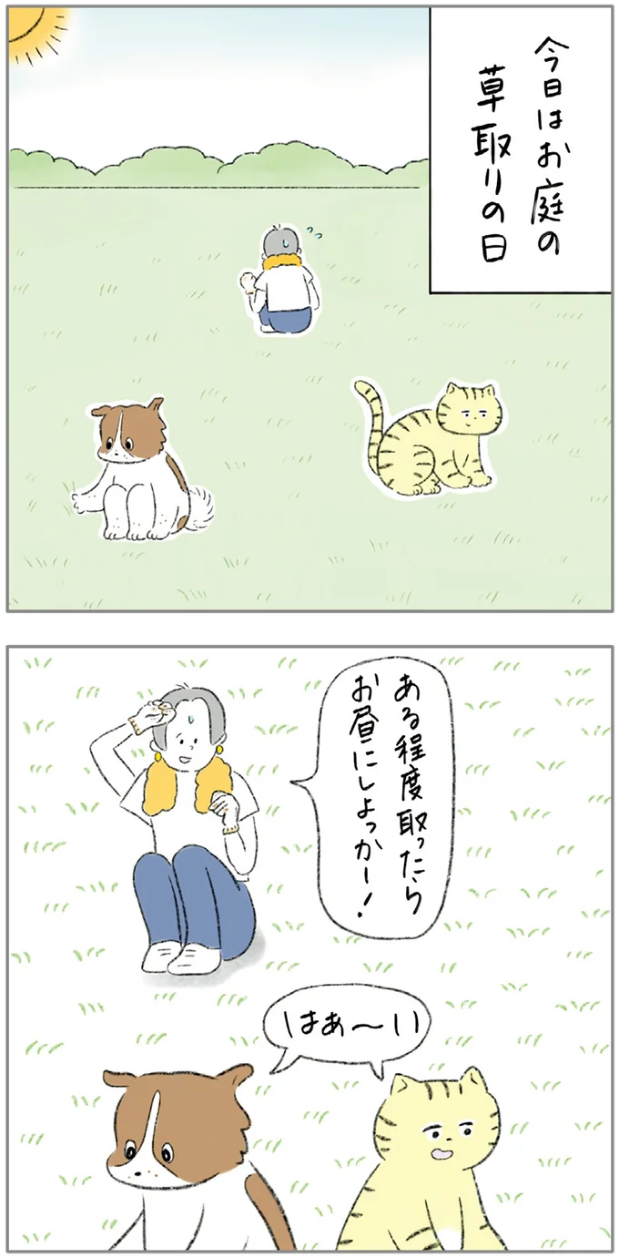 『ターとアグのしあわせ日和 元ノラ猫と元保護犬、ふたりは親友』より