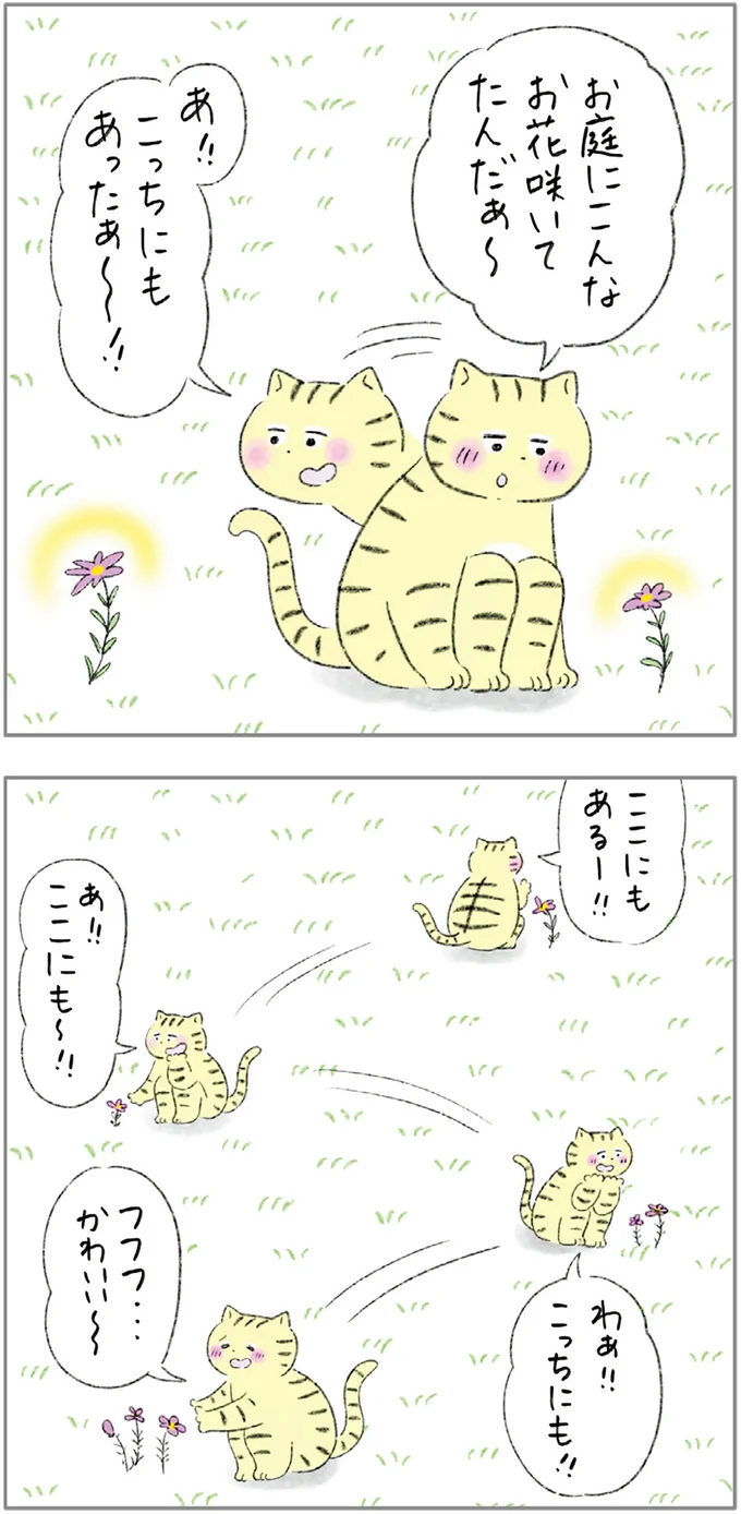 『ターとアグのしあわせ日和 元ノラ猫と元保護犬、ふたりは親友』より