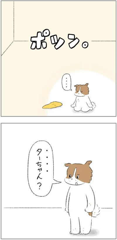 『ターとアグのしあわせ日和 元ノラ猫と元保護犬、ふたりは親友』より