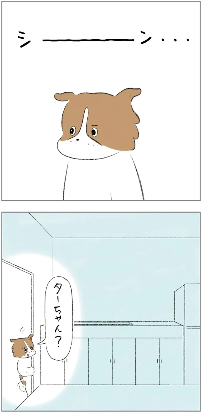『ターとアグのしあわせ日和 元ノラ猫と元保護犬、ふたりは親友』より