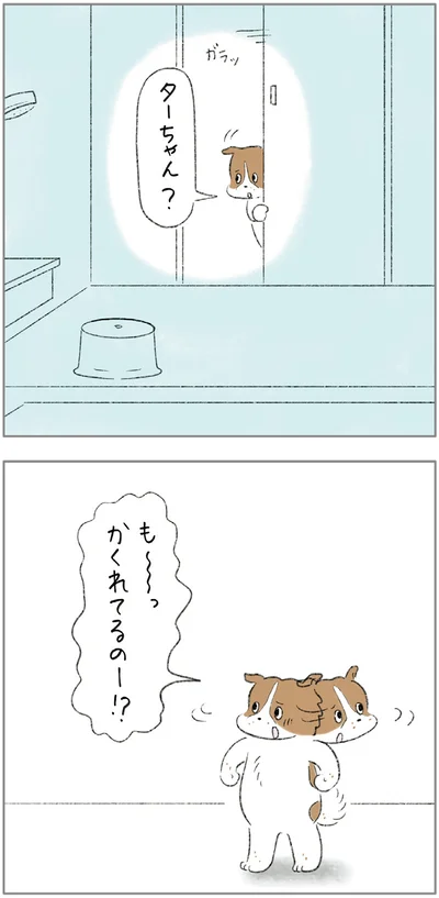 『ターとアグのしあわせ日和 元ノラ猫と元保護犬、ふたりは親友』より