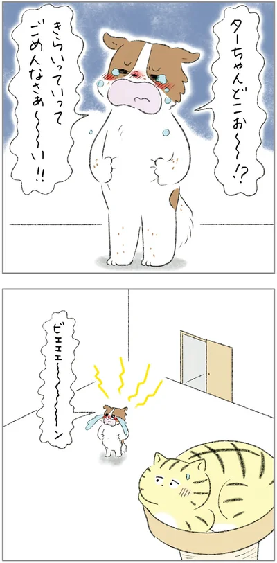 『ターとアグのしあわせ日和 元ノラ猫と元保護犬、ふたりは親友』より