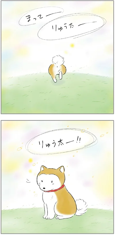 『ターとアグのしあわせ日和 元ノラ猫と元保護犬、ふたりは親友』より