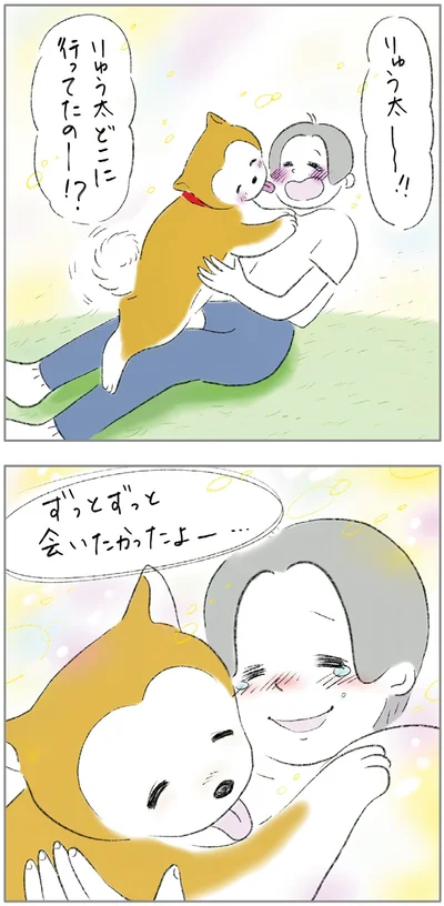 『ターとアグのしあわせ日和 元ノラ猫と元保護犬、ふたりは親友』より