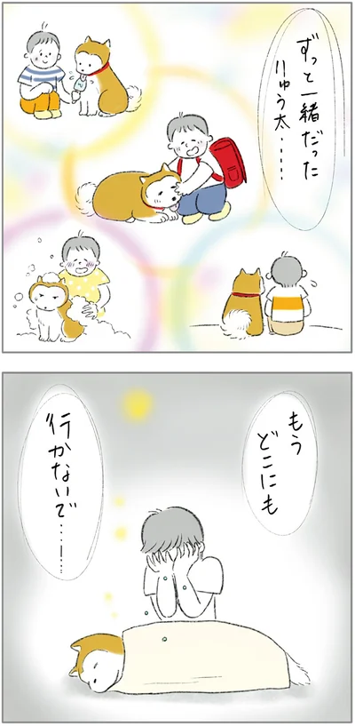 『ターとアグのしあわせ日和 元ノラ猫と元保護犬、ふたりは親友』より