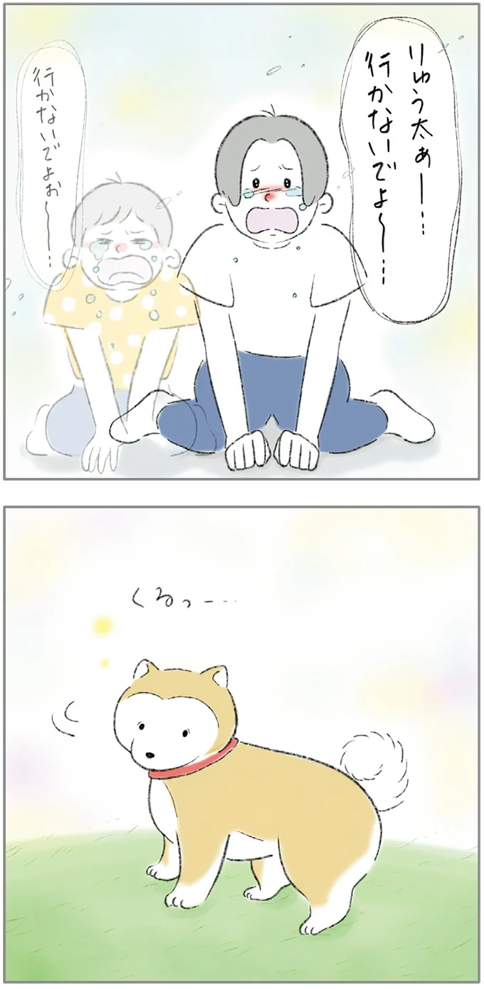 『ターとアグのしあわせ日和 元ノラ猫と元保護犬、ふたりは親友』より
