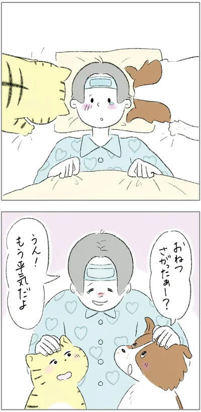『ターとアグのしあわせ日和 元ノラ猫と元保護犬、ふたりは親友』より