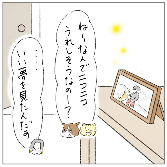 『ターとアグのしあわせ日和 元ノラ猫と元保護犬、ふたりは親友』より