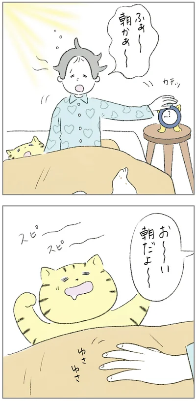 『ターとアグのしあわせ日和 元ノラ猫と元保護犬、ふたりは親友』より