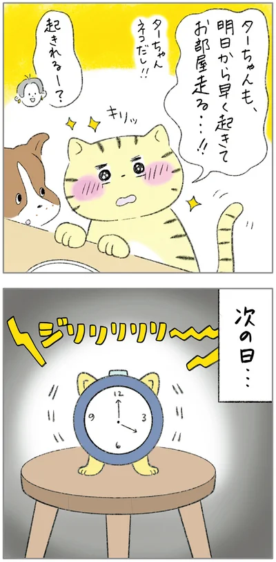 『ターとアグのしあわせ日和 元ノラ猫と元保護犬、ふたりは親友』より