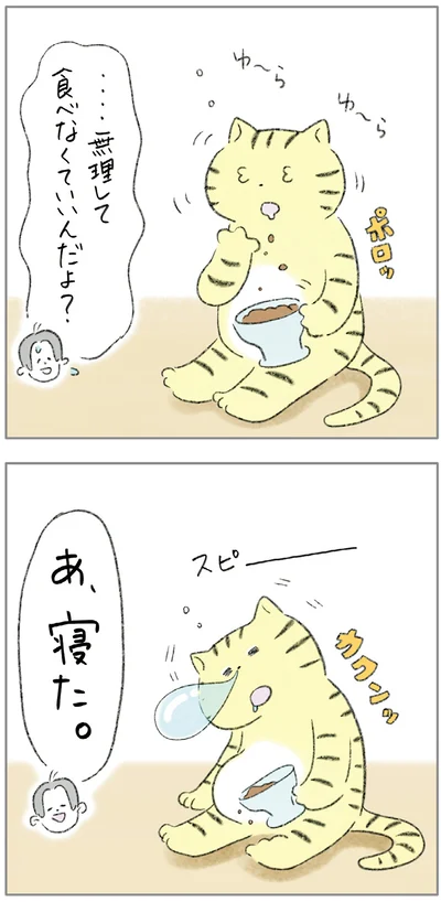 『ターとアグのしあわせ日和 元ノラ猫と元保護犬、ふたりは親友』より