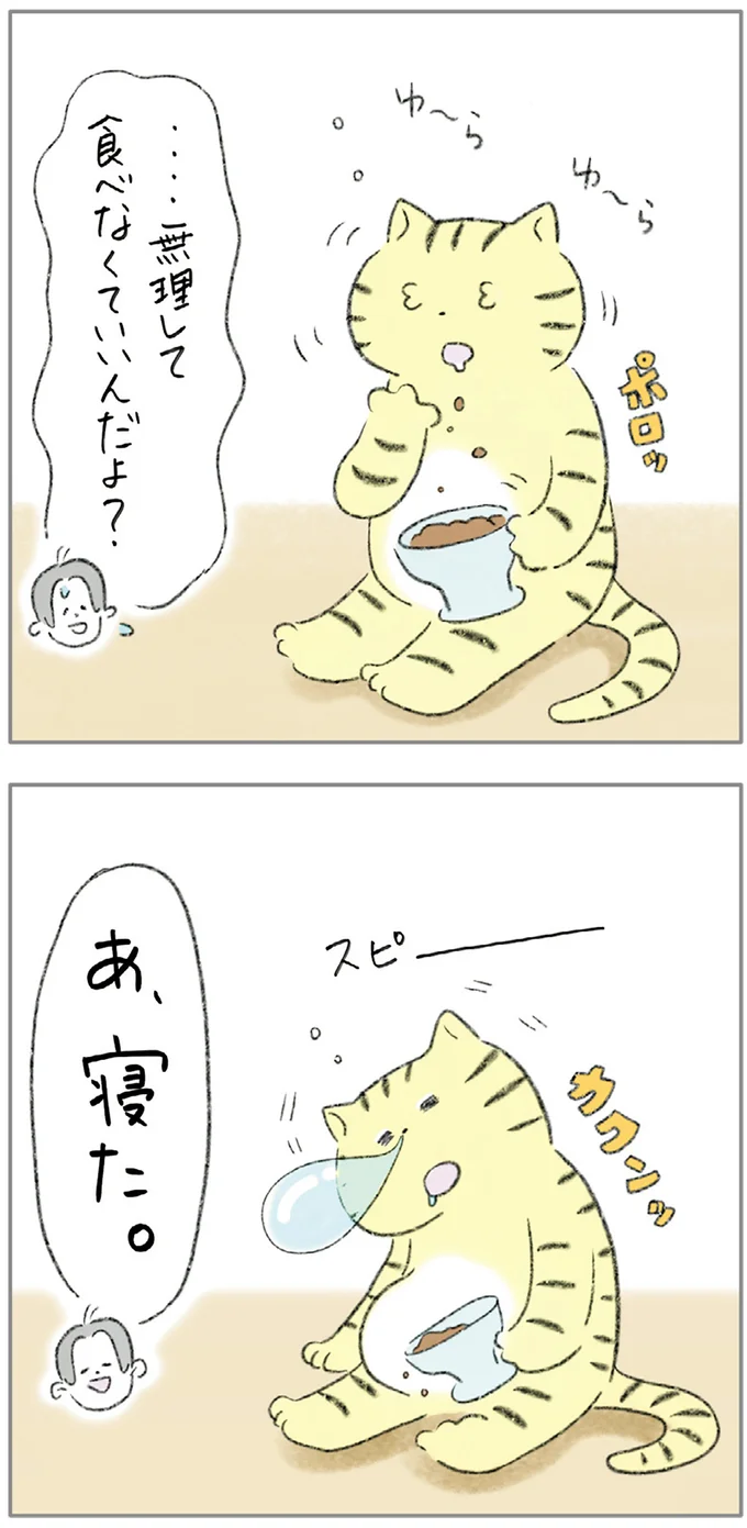 『ターとアグのしあわせ日和 元ノラ猫と元保護犬、ふたりは親友』より