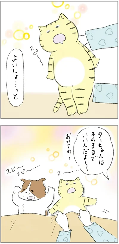 『ターとアグのしあわせ日和 元ノラ猫と元保護犬、ふたりは親友』より