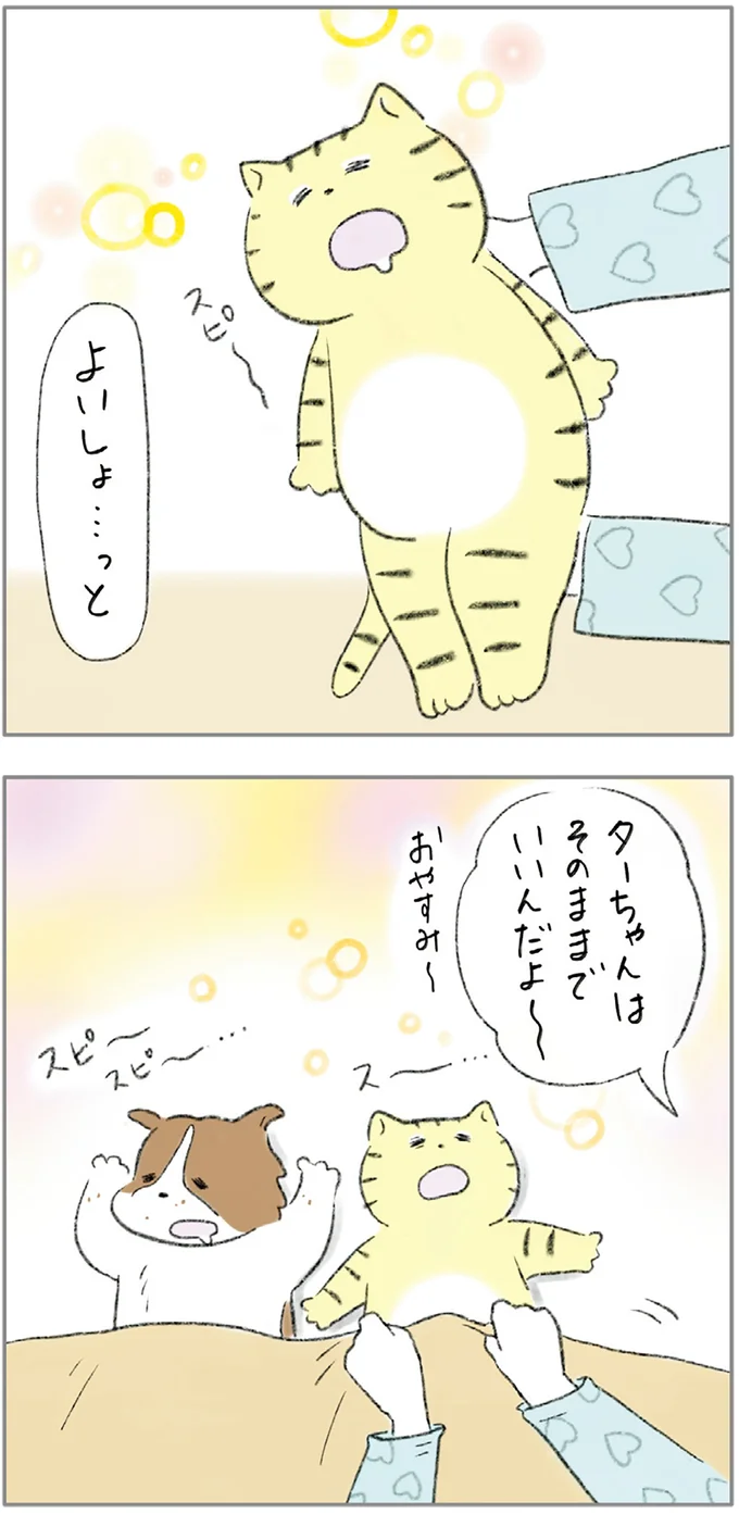 『ターとアグのしあわせ日和 元ノラ猫と元保護犬、ふたりは親友』より