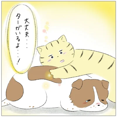『ターとアグのしあわせ日和 元ノラ猫と元保護犬、ふたりは親友』より