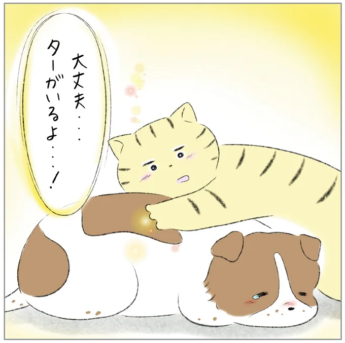 『ターとアグのしあわせ日和 元ノラ猫と元保護犬、ふたりは親友』より